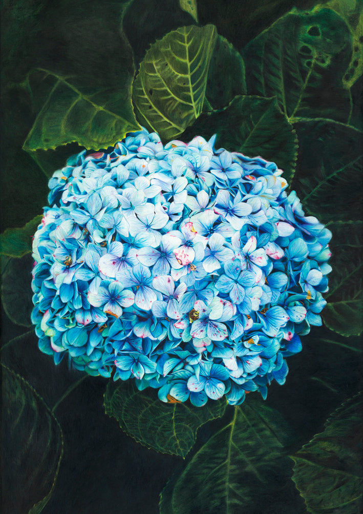 Fine Art Print - Blue Reverie