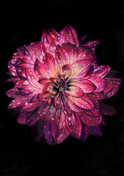 Fine Art Print - From the shadows she blooms