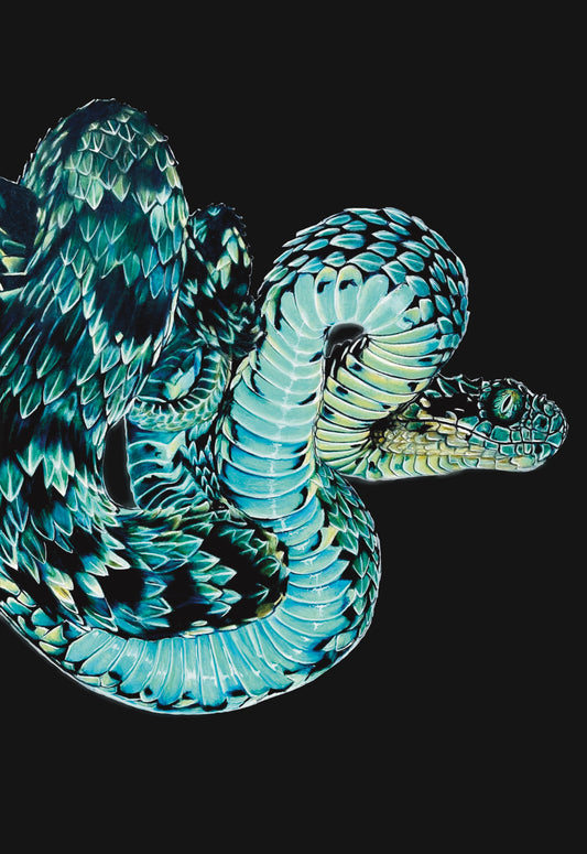 Cerulean viper - Original Artwork